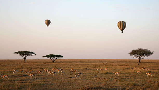 Ultimate Guide to Maasai Mara: Kenya's Wildlife Paradise