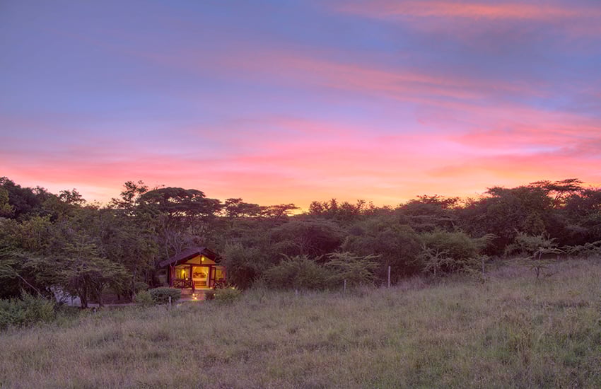 Sarova Mara Game Camp