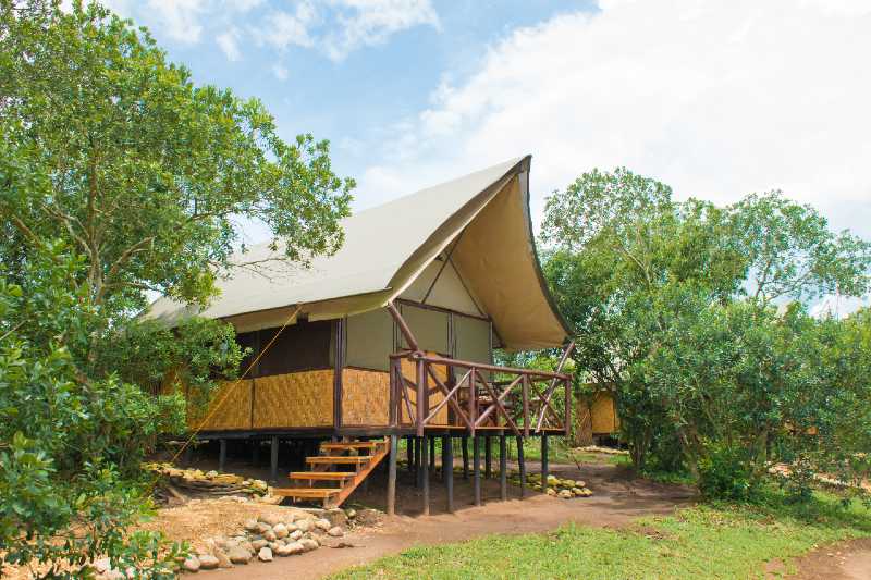 Simba Safari Camp