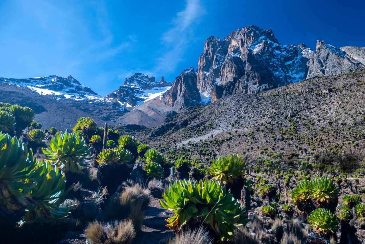 Mount Kenya
